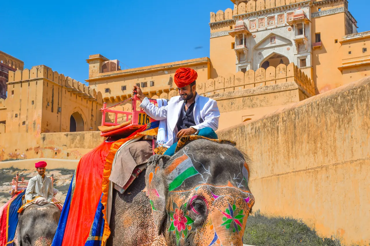 Painted elephant carrying visitors up to Amber Fort, Jaipur
