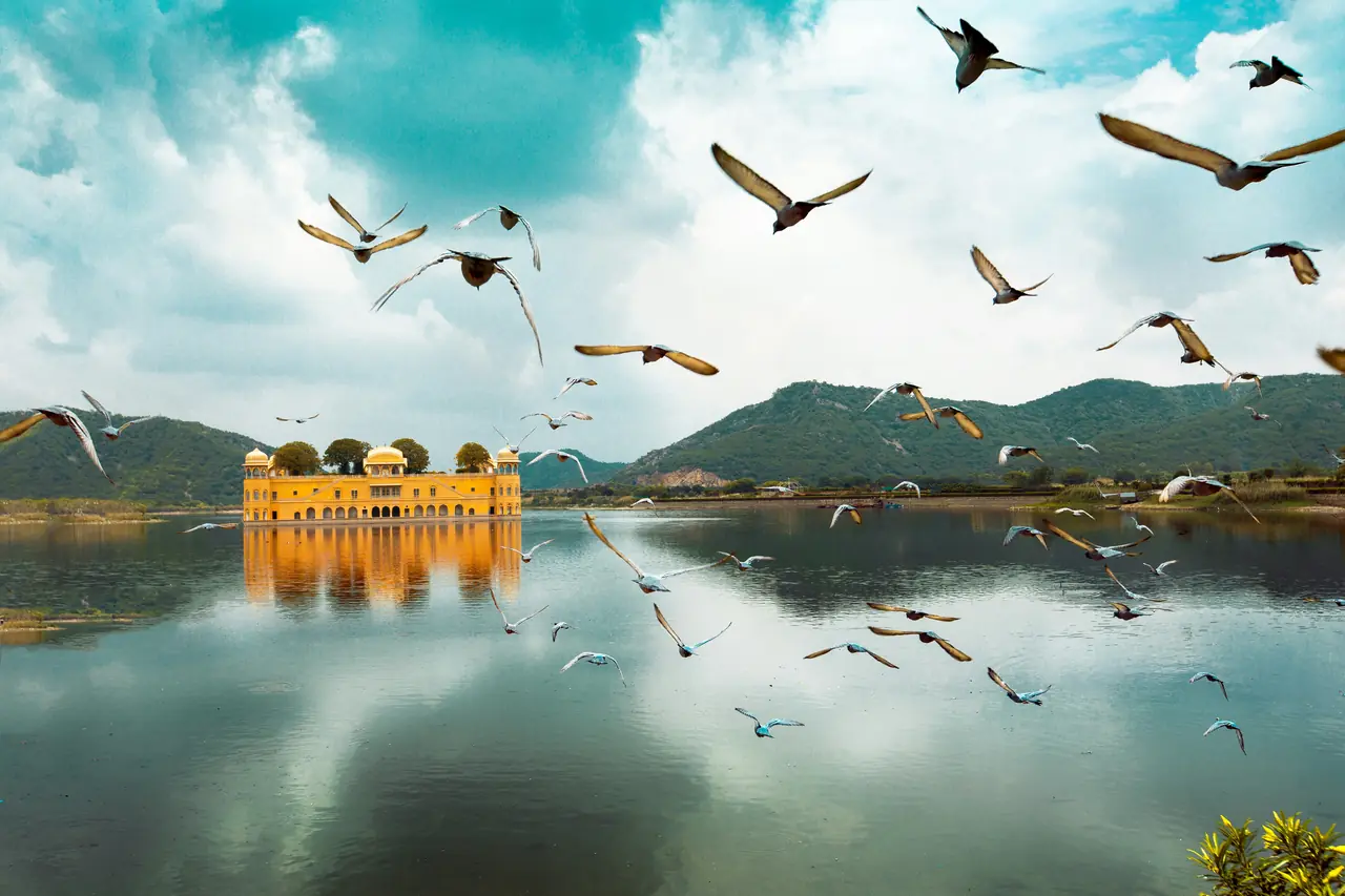 Jal Mahal palace on Man Sagar lake, Jaipur, with birds in flight